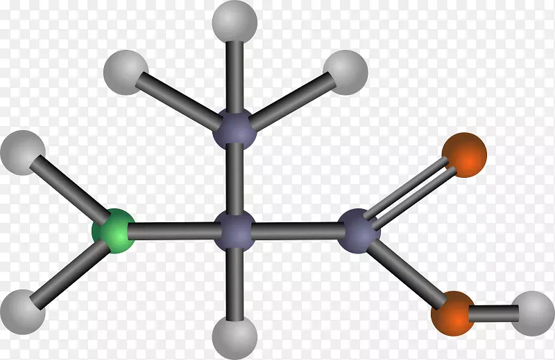 支链氨基酸valine生物化学氮原子图