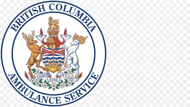 不列颠哥伦比亚省司法学院缝纫创作公司。军装救护车帽-救护车