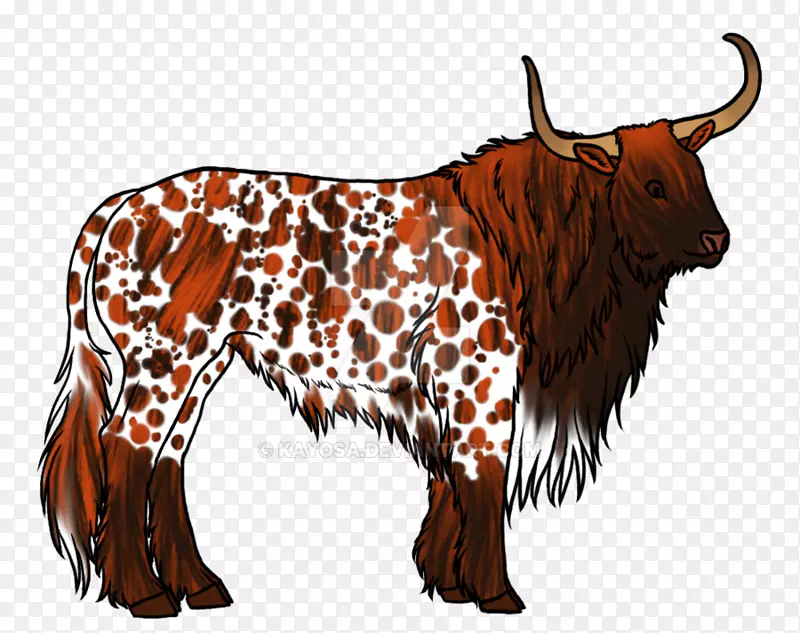得克萨斯州长角奶牛，英国长角牛，家牦牛-长角牛壁纸