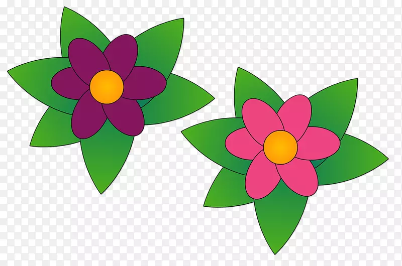 花卉视频花卉设计植物形象-花卉
