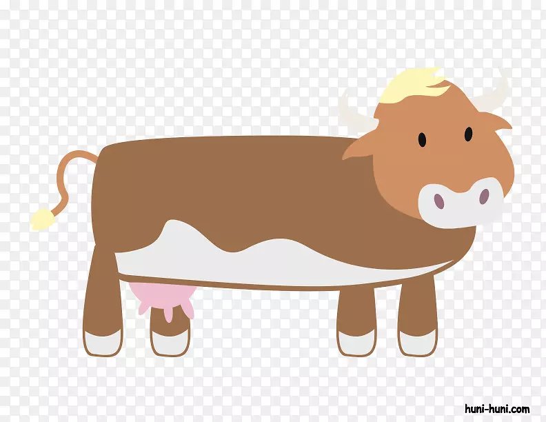 奶牛，巴卡牛，荷斯坦牛，弗里西亚牛，公牛