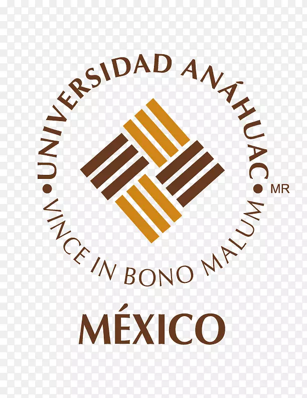 Anáhuac méxico Sur大学Anahuac Cancún Anahuac大学网络-Dentista