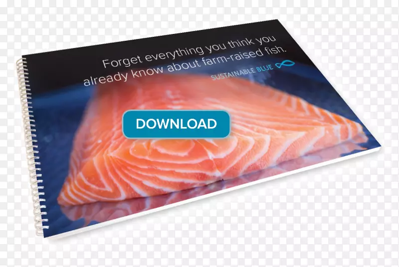 芬迪鱼三文鱼可持续发展湾食物-小册子模板蓝色