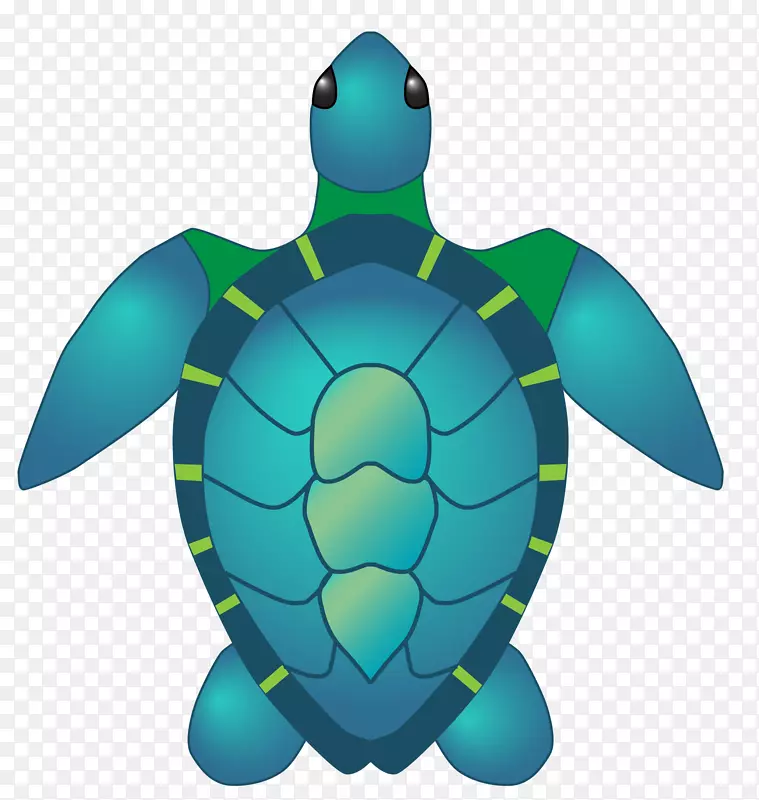 海龟剪贴画-海龟