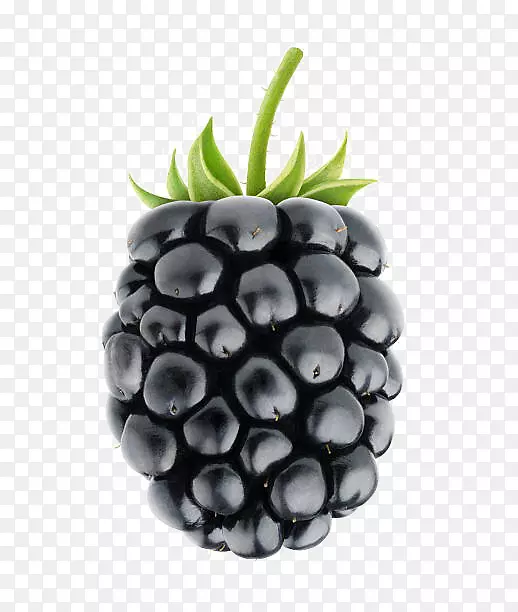 白色黑莓剪贴画图片水果-黑莓