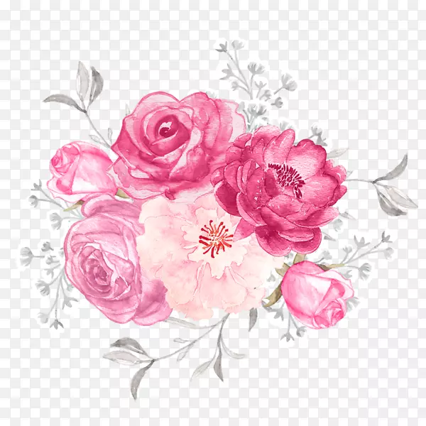 花园玫瑰切花花卉设计插图-花卉