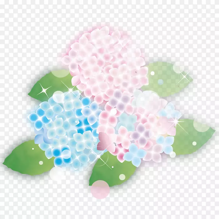 绣球花