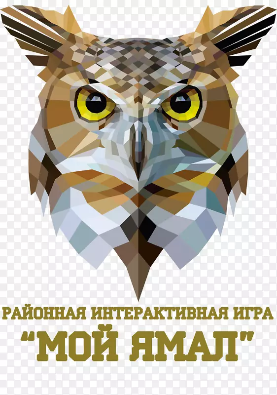 OWL图形免版税图像插图OWL