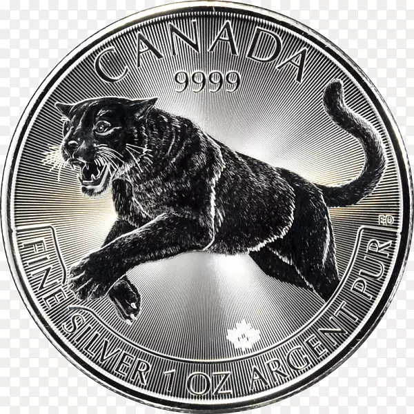 加拿大野生动物皇家加拿大薄荷银币-加拿大