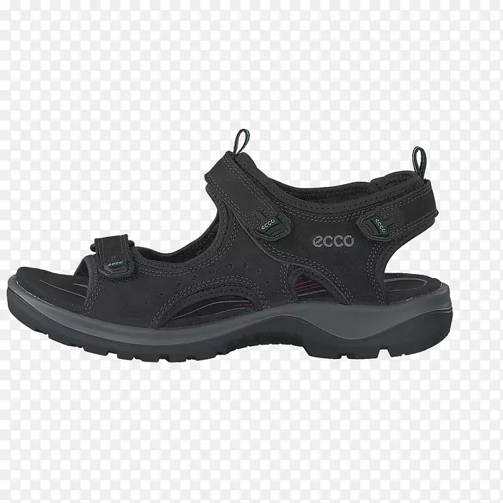 鞋凉鞋ECCO服装鞋.妇女用的ECCO鞋
