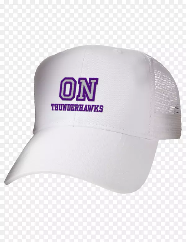 棒球帽产品设计品牌紫色棒球帽