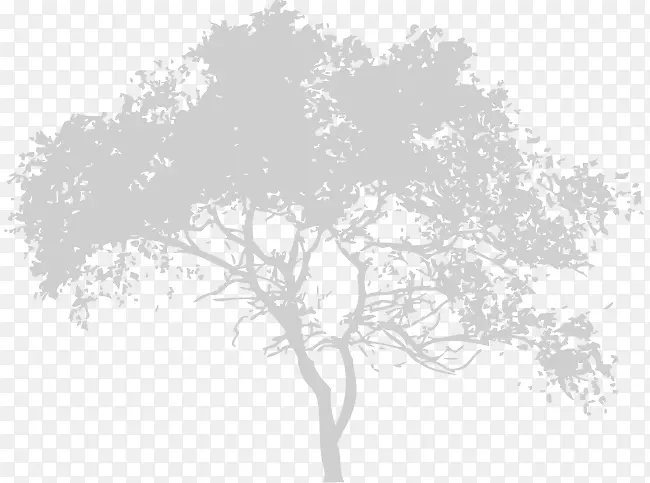 图免版税插画图像嫩枝-白树剪影