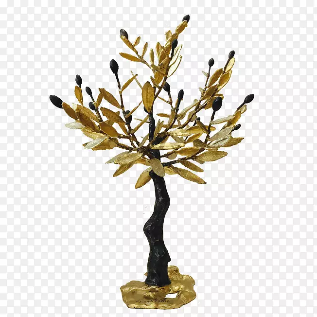 希腊的小枝烛台灯笼树橄榄树