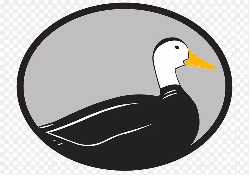 奇鸭媒体剪贴画谷歌我的商业公司标志-古怪鸭子