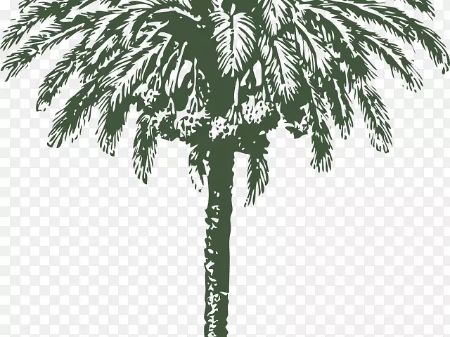 棕榈树图形日期棕榈剪贴画图片棕榈坚果秃鹫