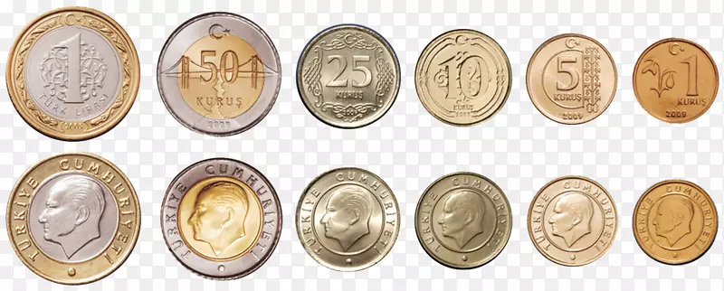 土耳其里拉土耳其币-智利货币