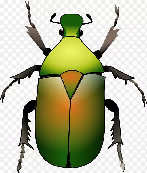 大众甲虫大众新甲虫可伸缩图形png图片.绿色甲虫