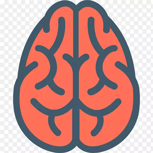 人脑认知训练记忆脑损伤脑解剖方向