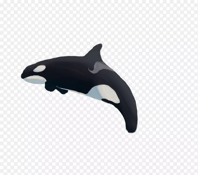 海豚产品设计鲸鱼-Tilikum虎鲸