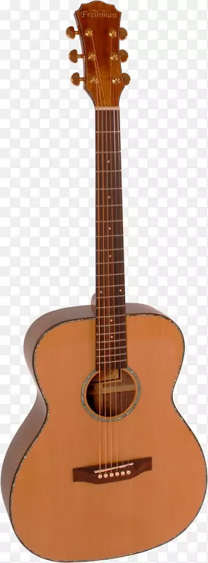 古典吉他弦乐吉他拉布拉特霍纳吉他模型