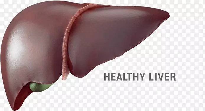 肝脏食材摄影健康饮食.肝细胞和酒精