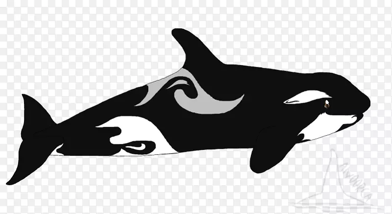 猫夹艺术虎鲸海豚-如何画虎鲸