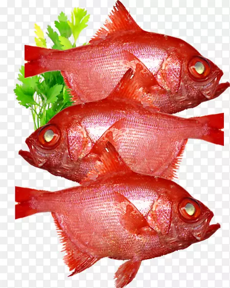 北红笛鲷鱼产品大口鸭生鱼片