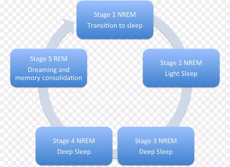 教育技术学习教学辅导教育电影.睡眠周期的五个阶段