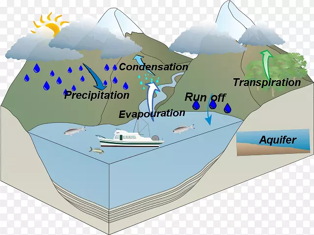 水循环水资源图像Lyneham高中-湿地社区图