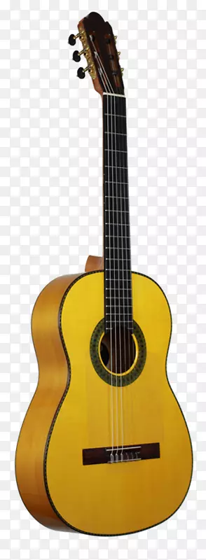 吉他古典吉他。f。马丁公司电吉他弗拉门戈乐器公司