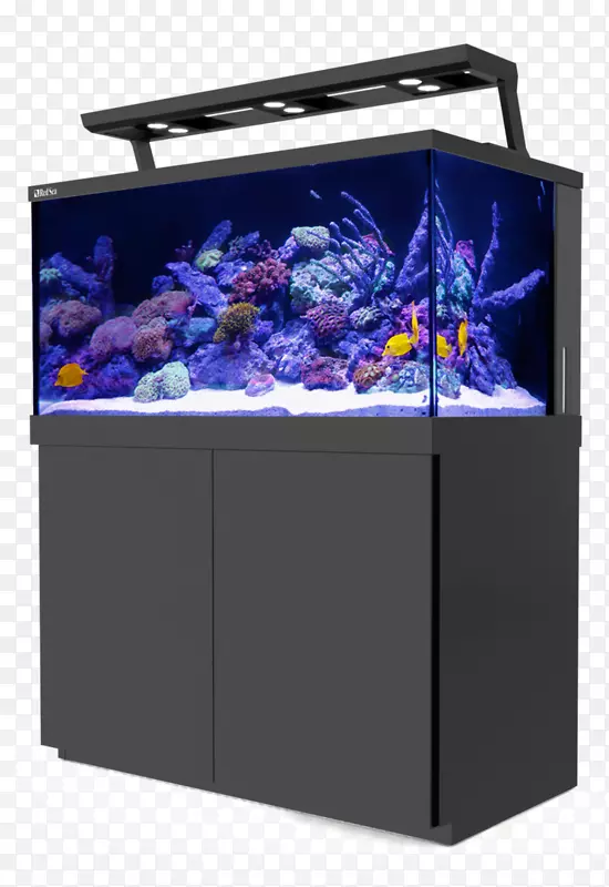 暗礁水族馆红海礁规格粉红色红海暗礁-规格蓝白色T5(54w)-鱼缸