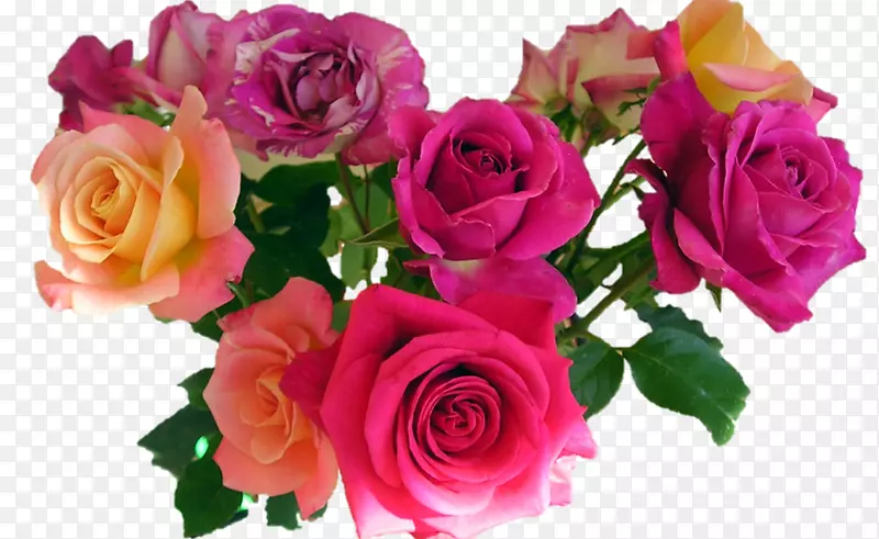 png图片剪贴画玫瑰透明花草花束颜色