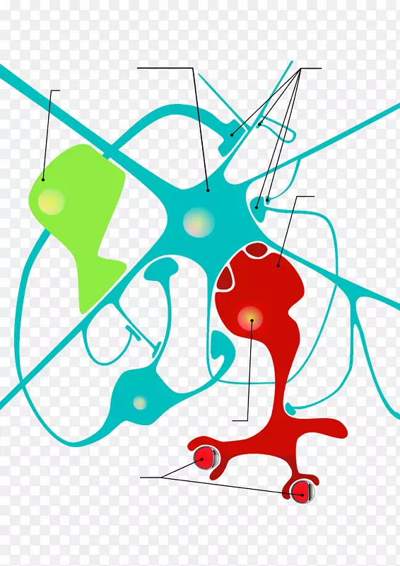 剪贴术神经胶质细胞星形胶质细胞