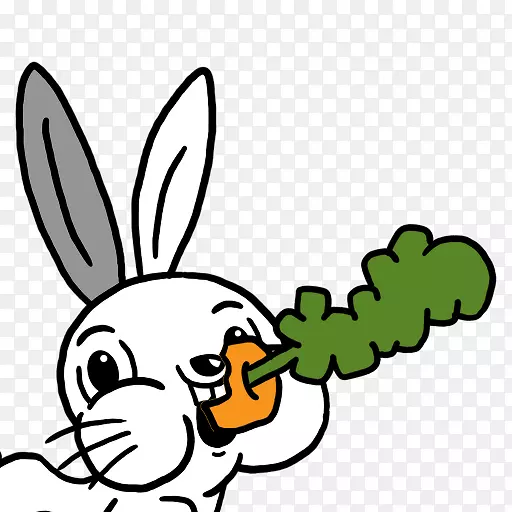 国内兔夹艺术兔喙产品-兔笼亚马逊