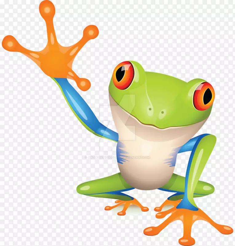 树蛙真青蛙剪贴画-五彩缤纷的青蛙
