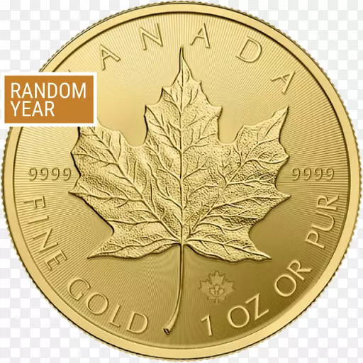加拿大金枫叶金币-阿根廷货币100