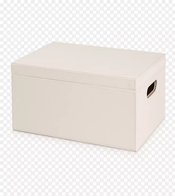产品设计矩形盖子耶和华见证人-莱克斯沐浴皂