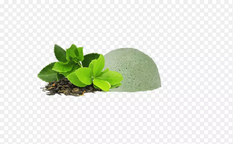 绿茶联合利华立顿系列氨基酸膳食补充剂-迷你茶袋标签