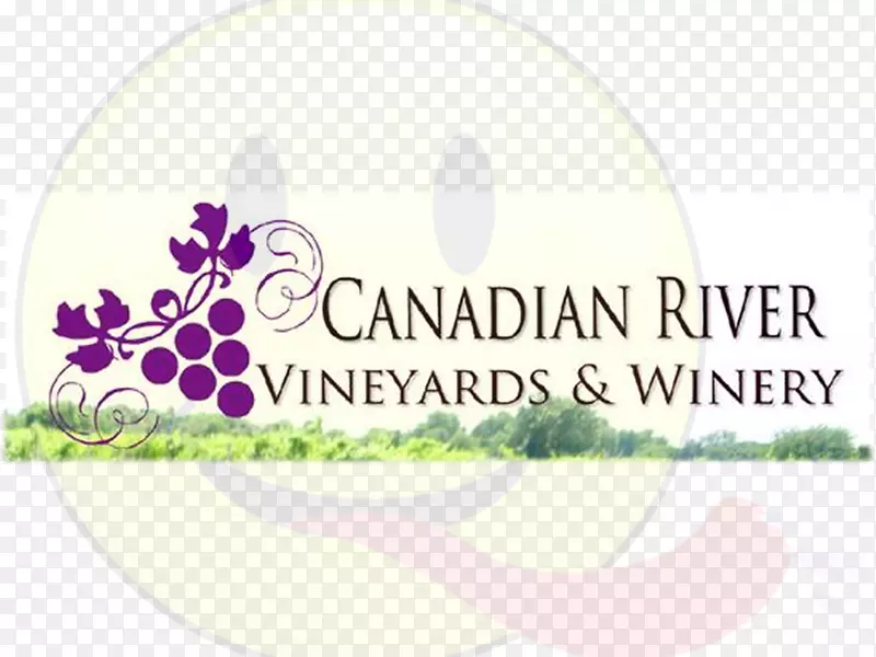 加拿大河流葡萄园及酿酒厂有限责任公司VIP桶品酒之旅普通葡萄藤摩尔-东欧闪闪发亮的红葡萄酒