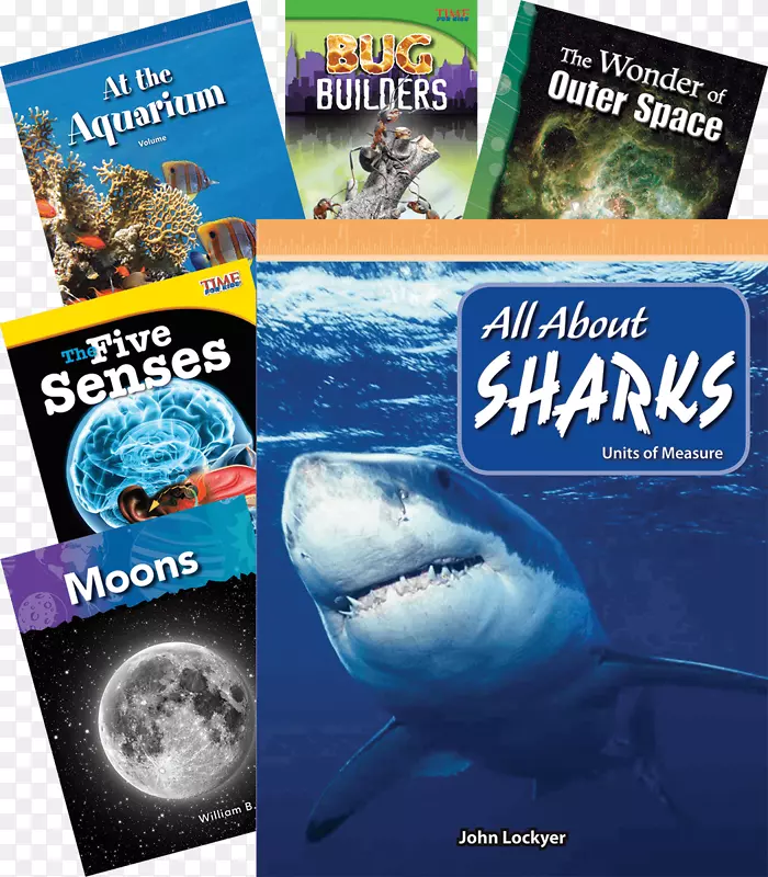 鲨鱼水鱼广告海洋生物导读图书馆书房