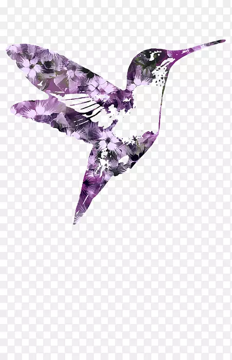 艺术家蜂鸟混合媒体艺术作品-蜂鸟紫色花边