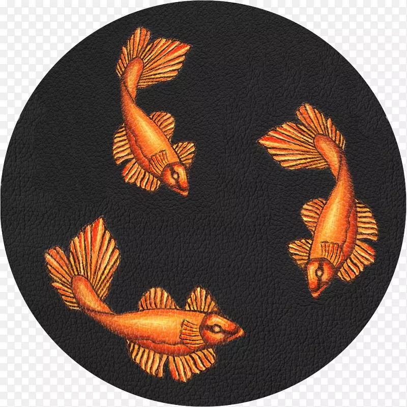 鱼类-桔黄色锦鲤