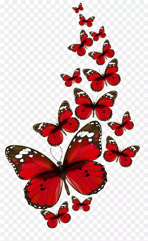 蝴蝶夹艺术png图片桌面壁纸红色建筑纸蝴蝶