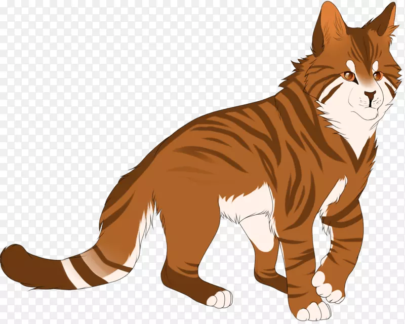 猫须，虎族战士的秘密-雷鸣战士