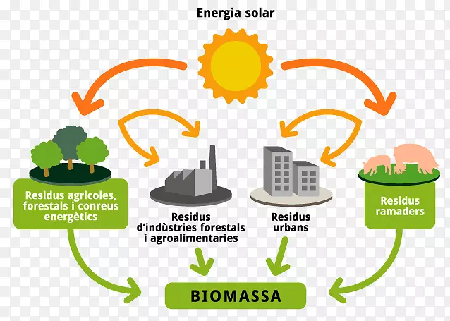 可再生能源生物质、生物能源、太阳能-能源组织