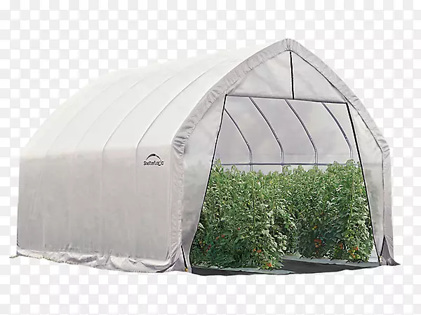避风塘逻辑温室装箱式温室种植重型步行式温室式圆顶式温室-箱内式温室正峰式，3.7m x 6.1m×2.4m花园-科罗拉多杂草药房。