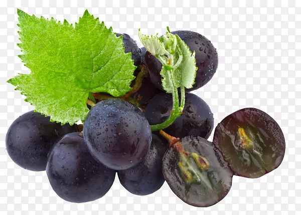 普通葡萄籽油有机食品黑葡萄籽