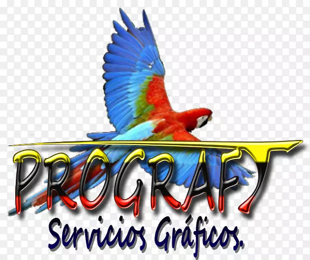 Macaw洪都拉斯徽标动物羽毛-Temuco智利