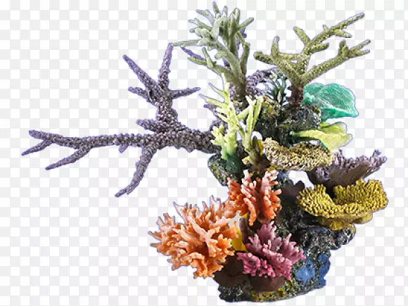 海洋剪贴画图像图形海洋-马林植物王国