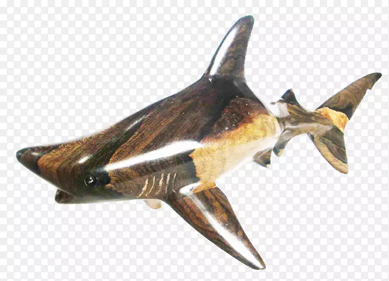 大白鲨黑头鲨